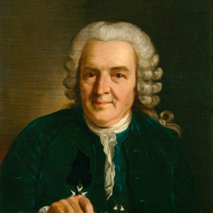 Carl von Linné (Linnaeus)'s portrait